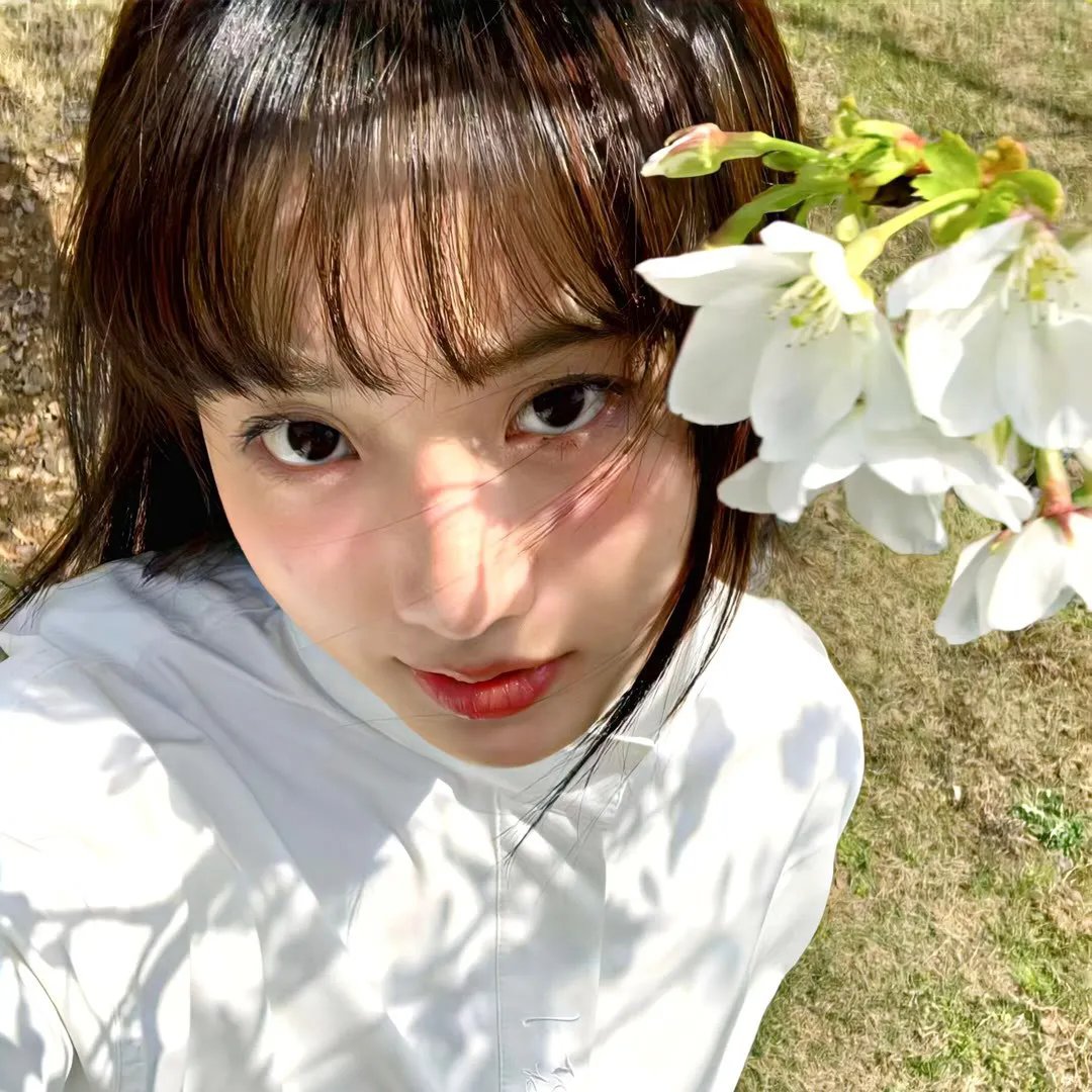 白色堡垒